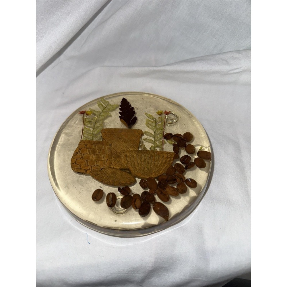 Lucite Pressed Flower Baskets Trivet MCM‎ BOHO Design Gifts Vintage Mid Century